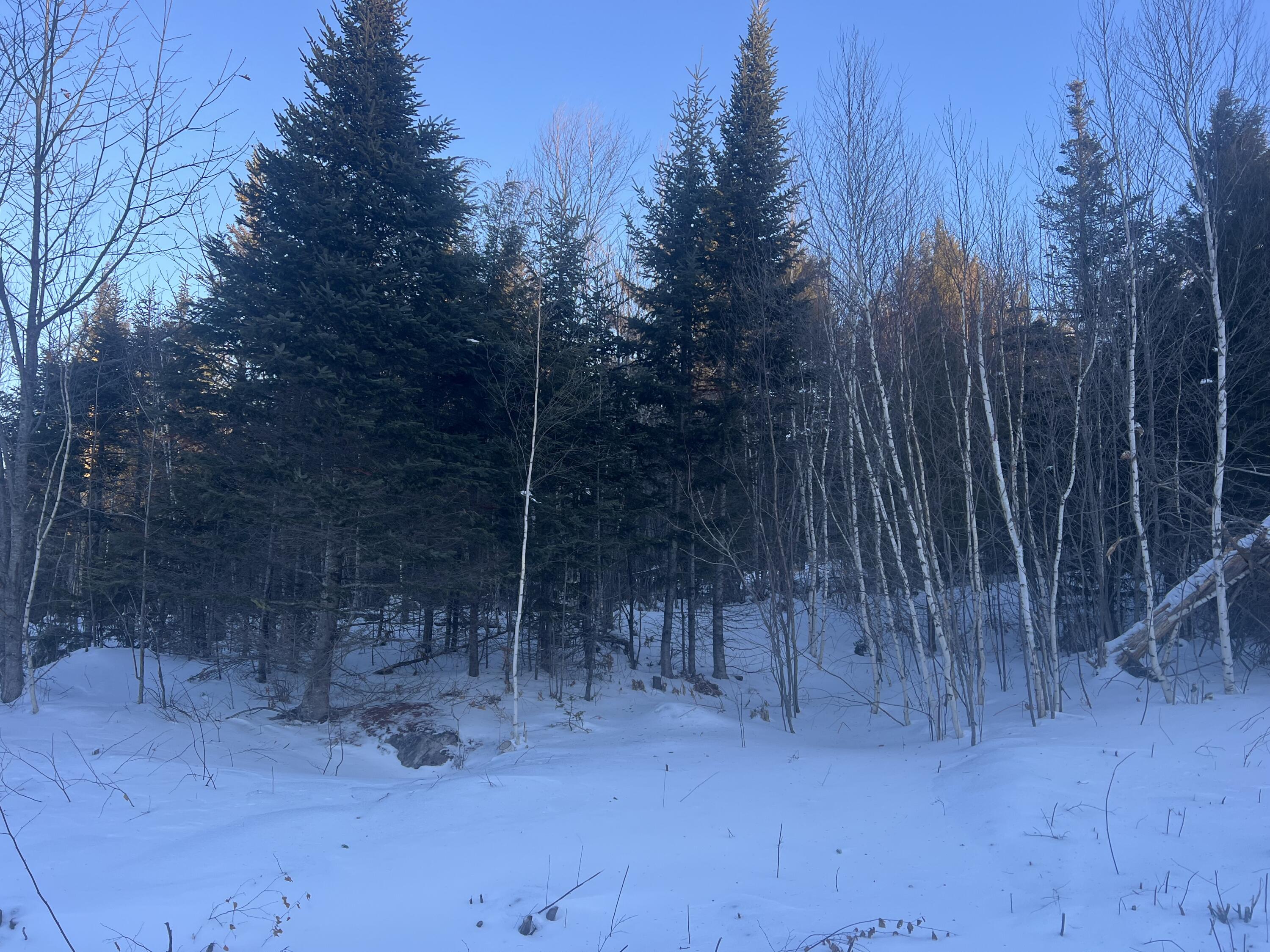 Lot 5 Gentle Ben Road Bethel, ME 04217 - Photo 4 of 5 IMG_9883