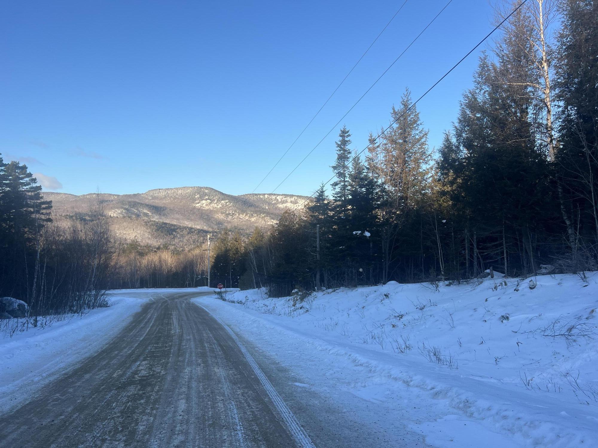Lot 5 Gentle Ben Road Bethel, ME 04217 - Photo 5 of 5 IMG_9886