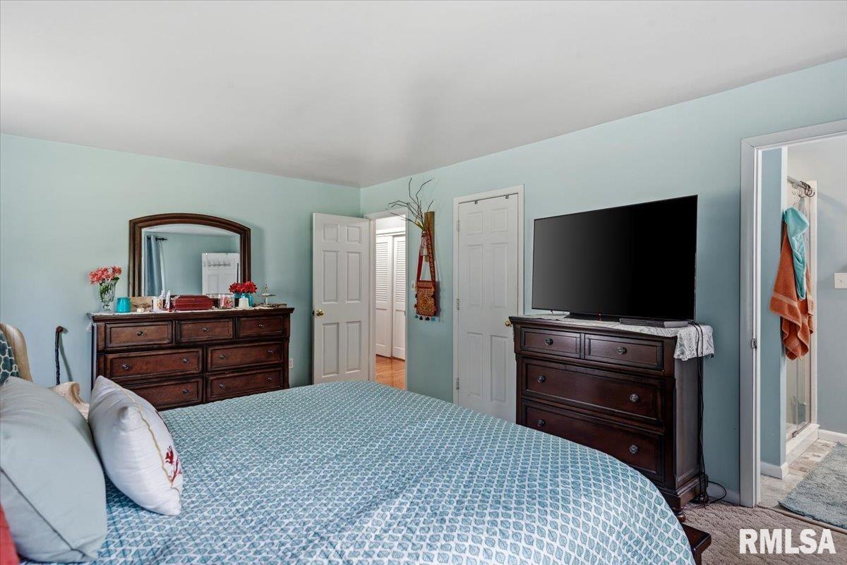 23 Circle Drive Rochester, IL 62563 - Photo 29 of 67