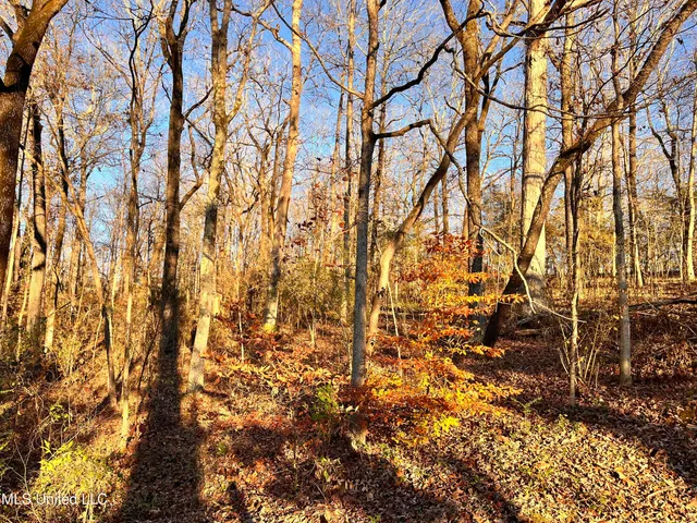 $12,000 | 0 Snow Lake Drive, Ashland, MS 38603