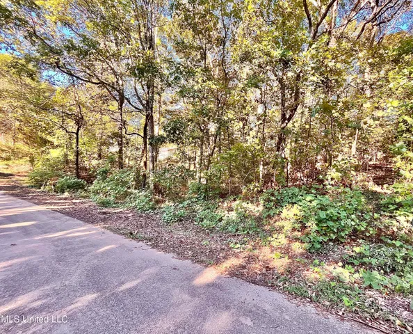 $12,000 | 0 Snow Lake Drive, Ashland, MS 38603