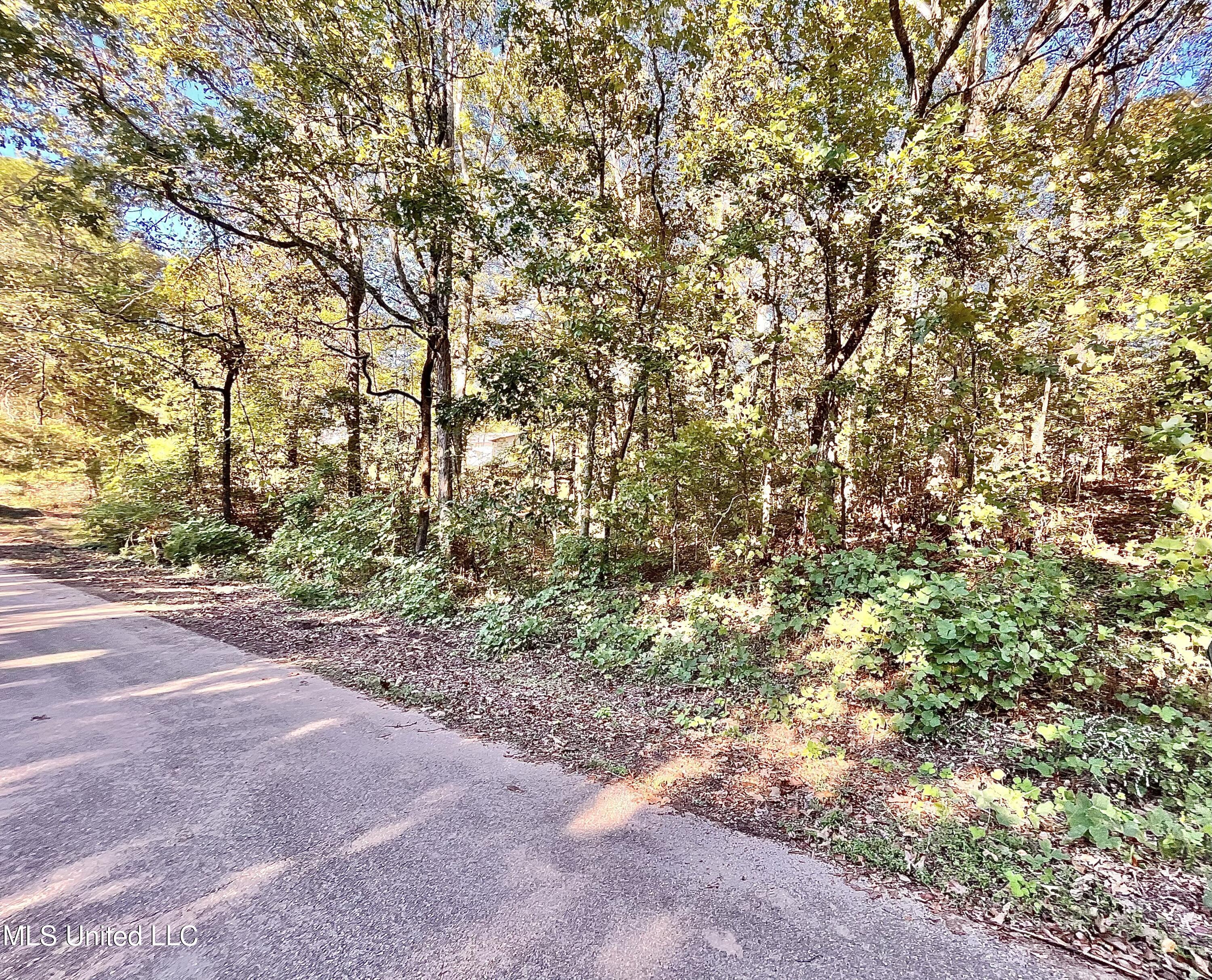 0 Snow Lake Drive Ashland, MS 38603 - Photo 2 of 11 IMG_1660