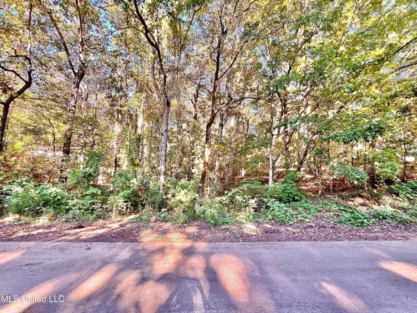 $10,000 | 0 Snow Lake Drive, Ashland, MS 38603