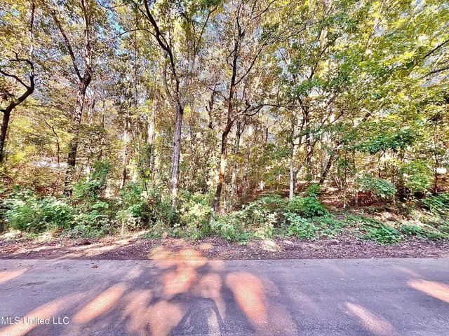 $12,000 | 0 Snow Lake Drive, Ashland, MS 38603