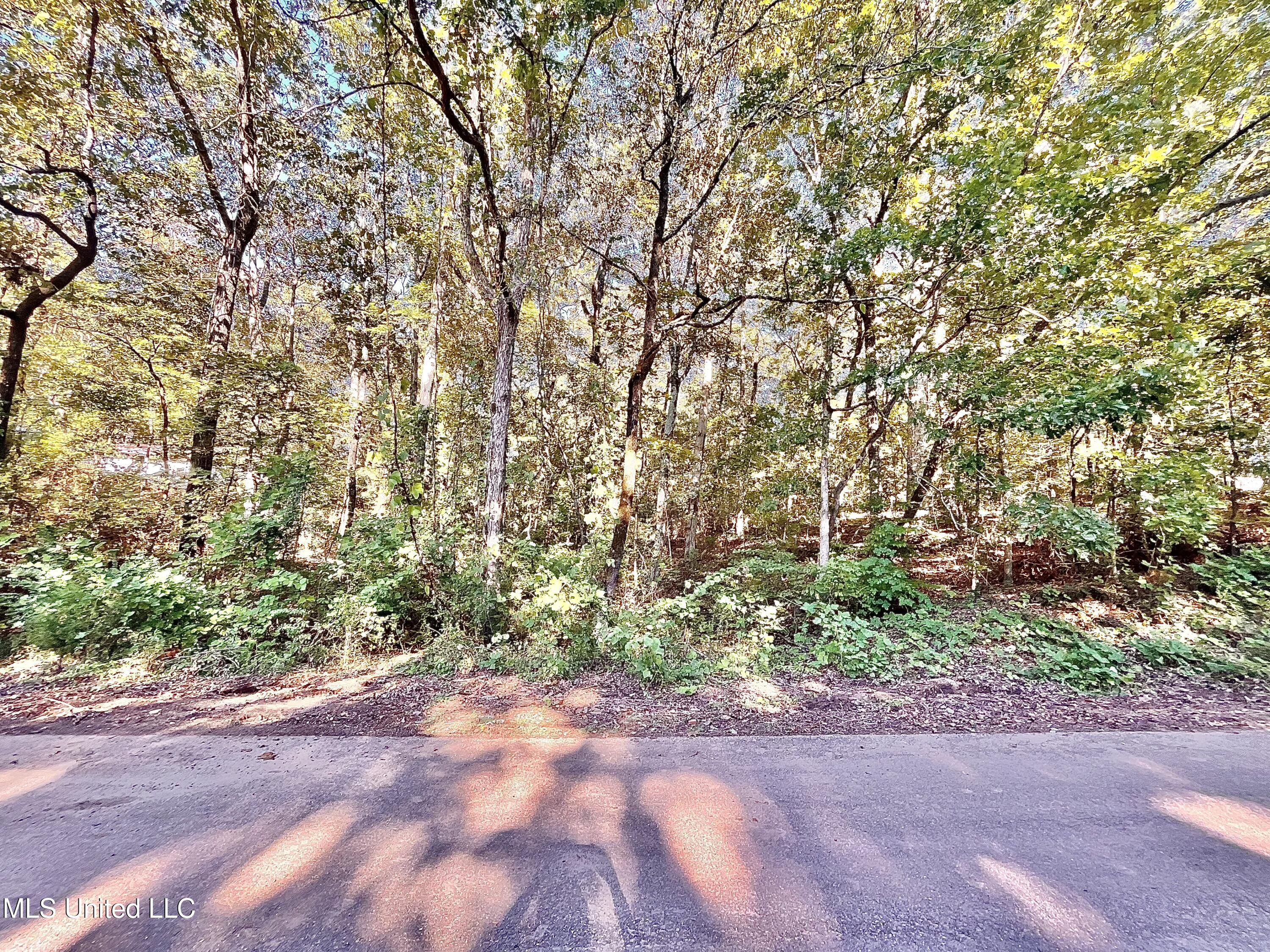 0 Snow Lake Drive Ashland, MS 38603 - Photo 3 of 11 IMG_1658