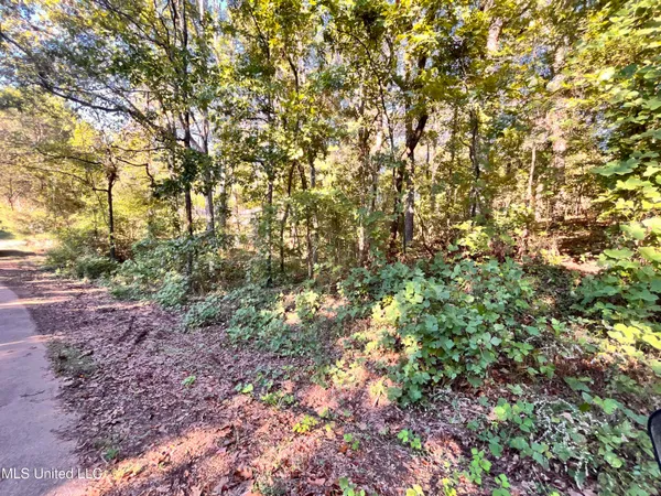 $10,000 | 0 Snow Lake Drive, Ashland, MS 38603