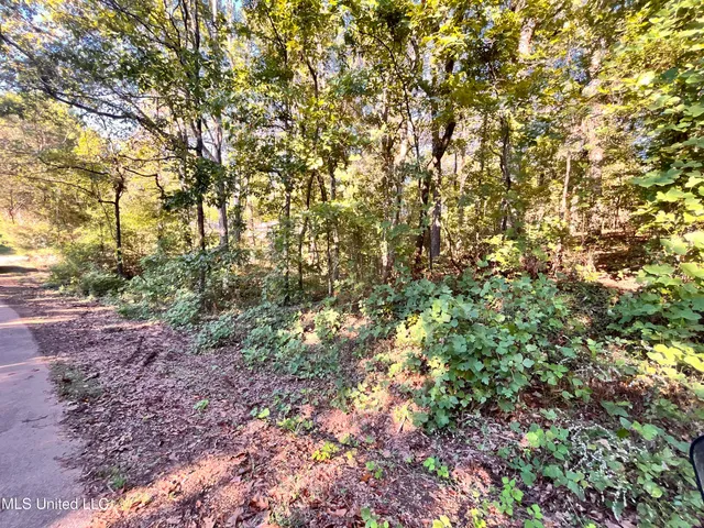 $12,000 | 0 Snow Lake Drive, Ashland, MS 38603