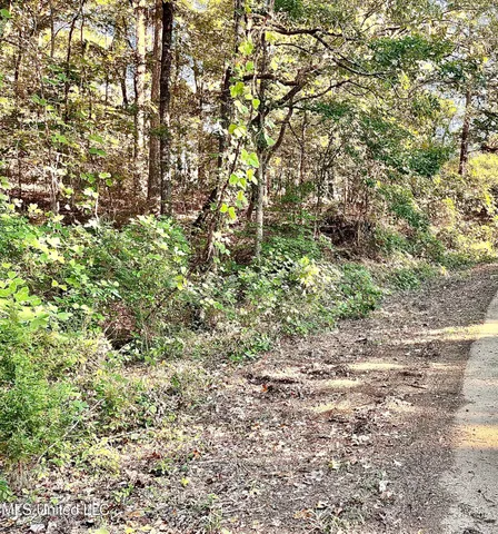 $12,000 | 0 Snow Lake Drive, Ashland, MS 38603