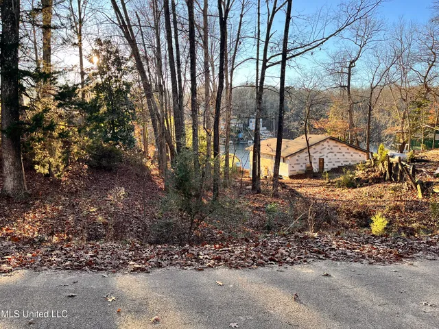$12,000 | 0 Snow Lake Drive, Ashland, MS 38603