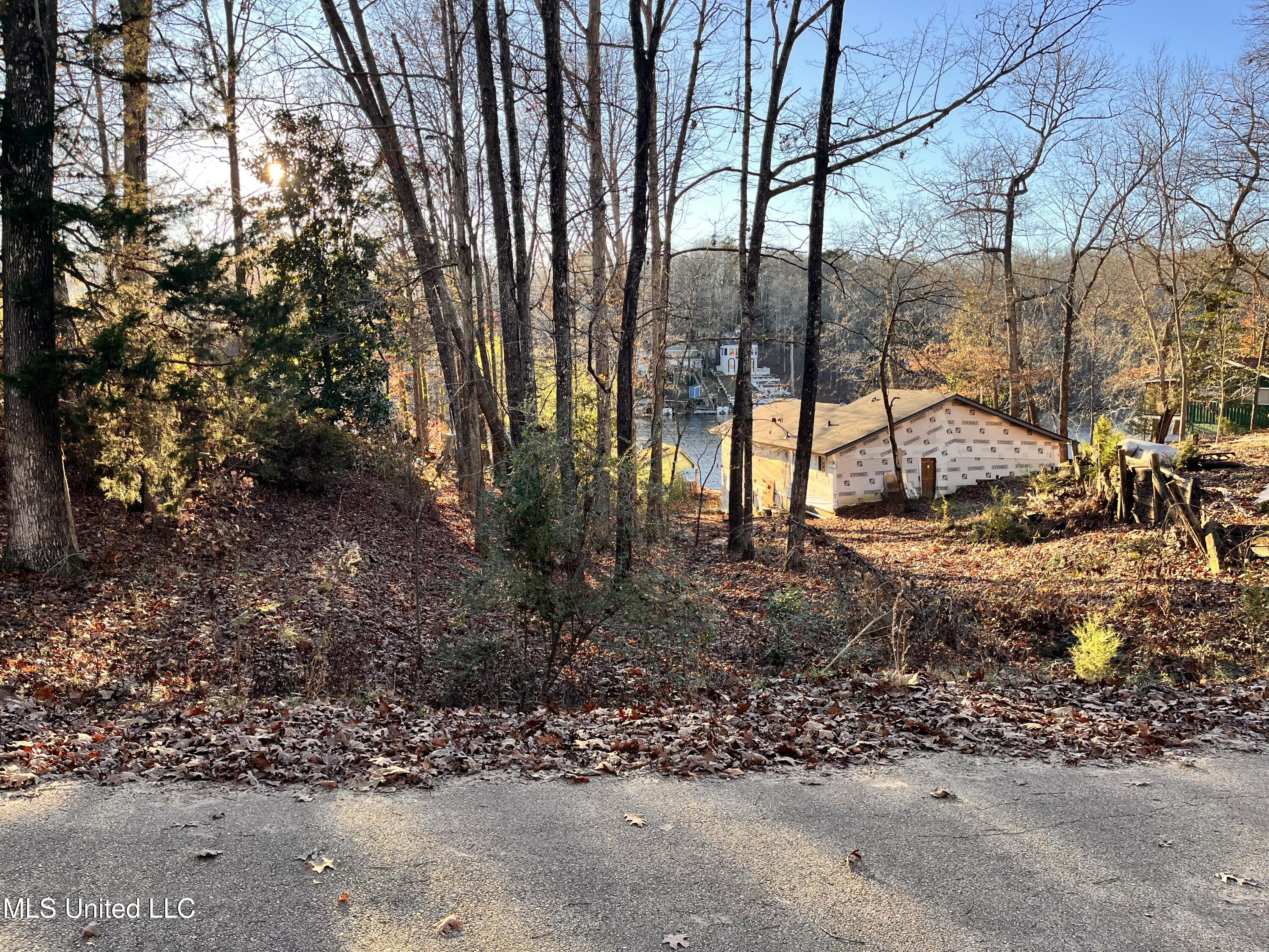 0 Snow Lake Drive Ashland, MS 38603 - Photo 6 of 11 view of lake