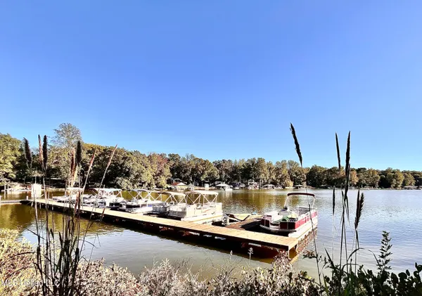 $10,000 | 0 Snow Lake Drive, Ashland, MS 38603