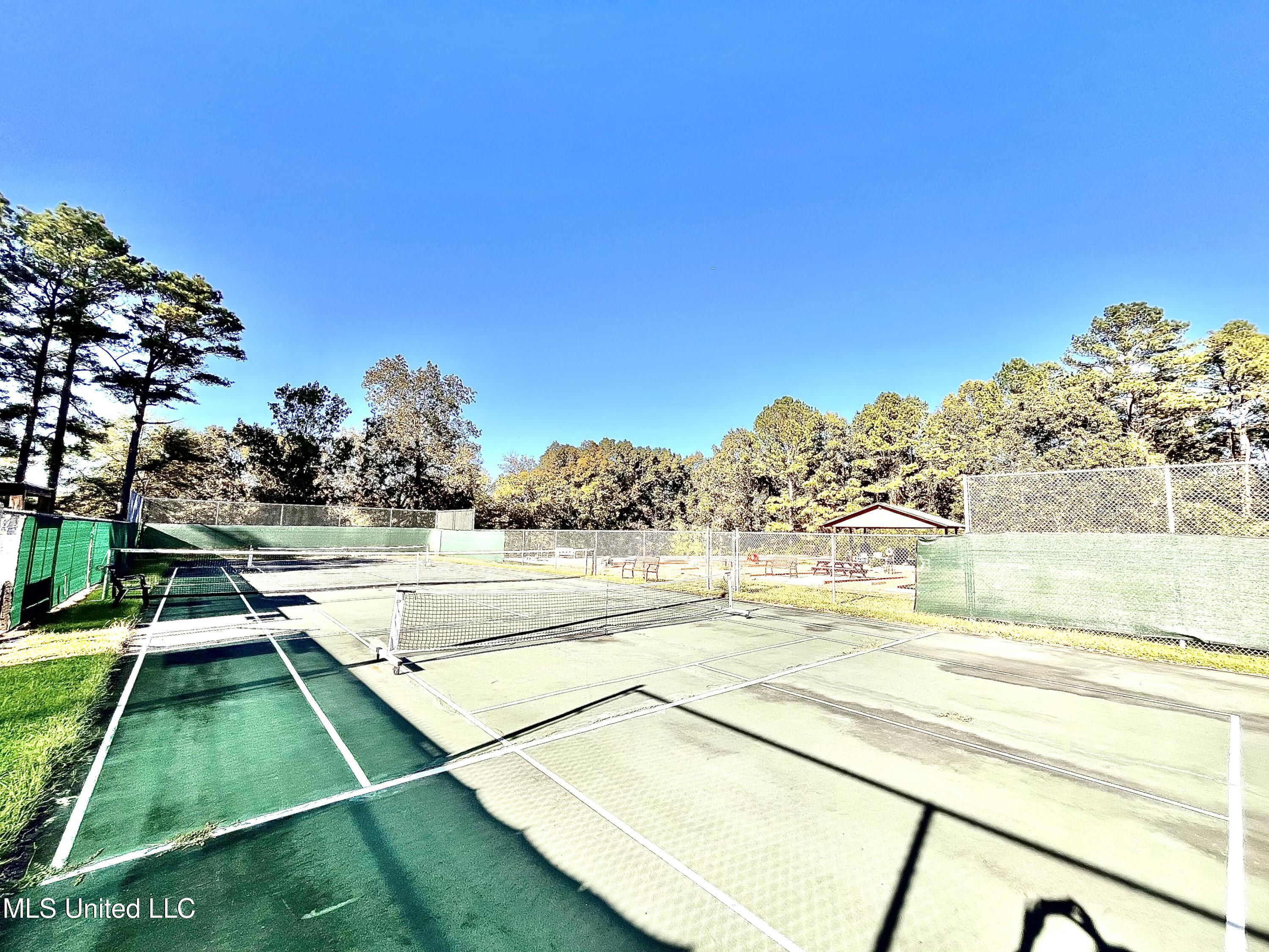 0 Snow Lake Drive Ashland, MS 38603 - Photo 10 of 11 tennis pickleball