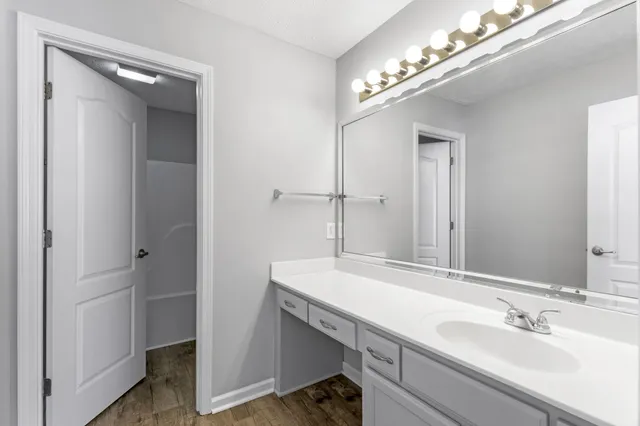 a bathroom with a sink and a mirror