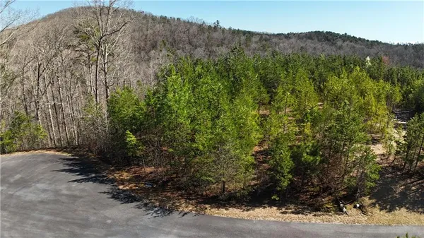 a view of a dry field with trees in the background