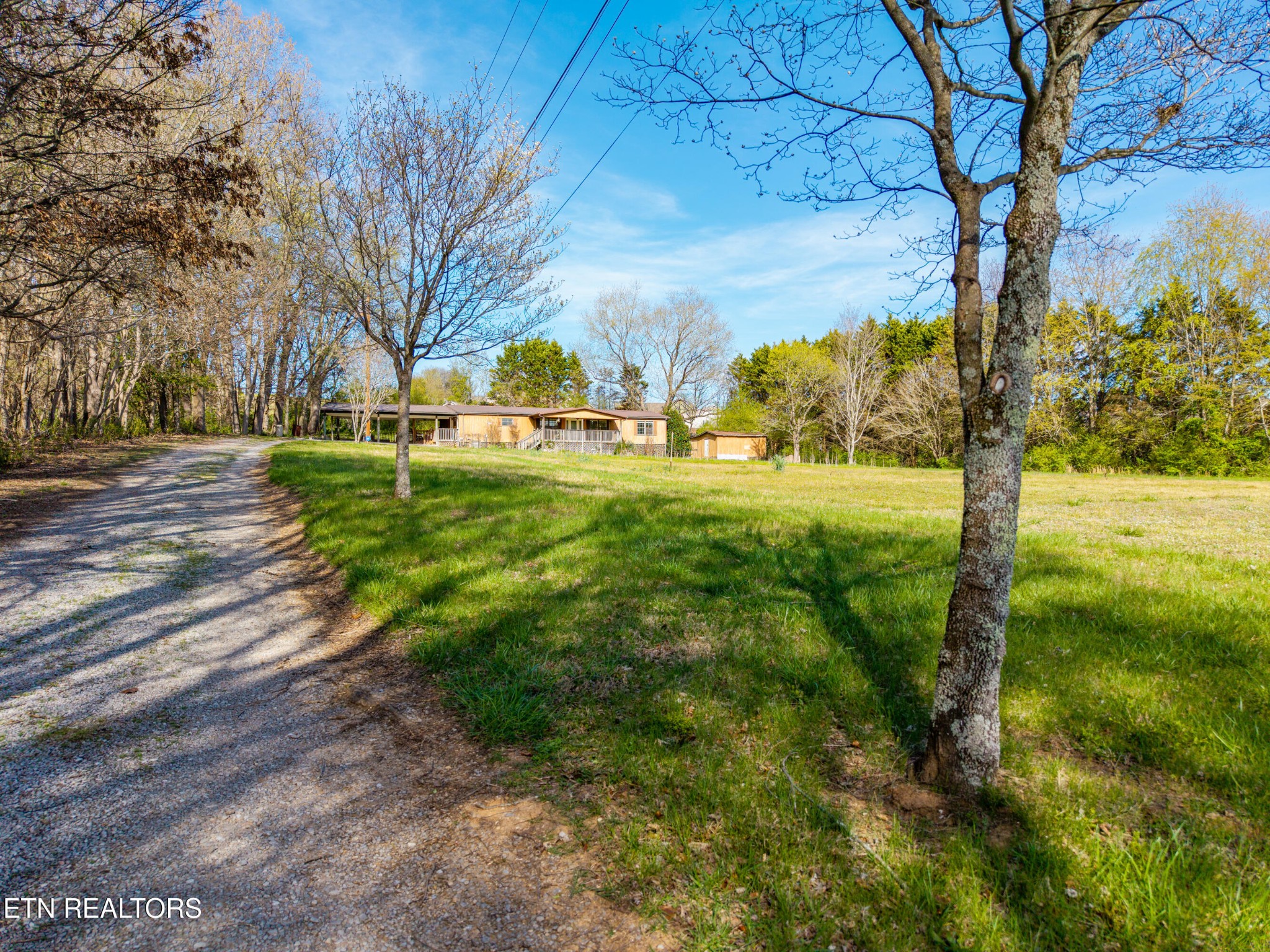 337 River Ford Road Maryville, TN 37804 - Photo 2 of 33 a view of yard with large trees