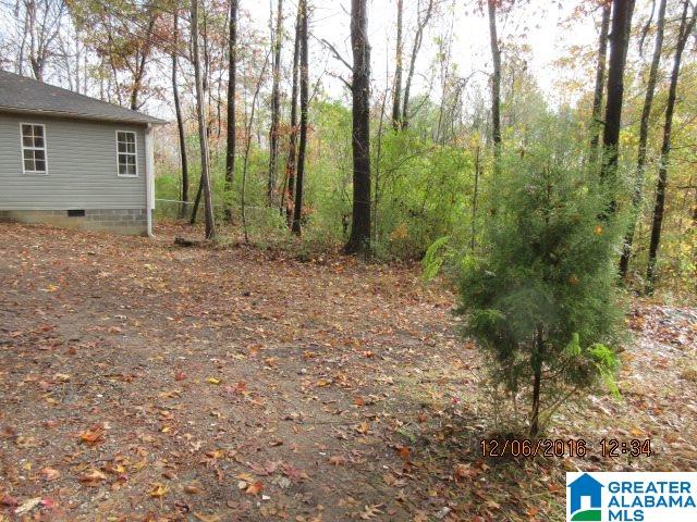 205 Wolf Pen Ridge Road Pell City, AL 35128 - Photo 3 of 50