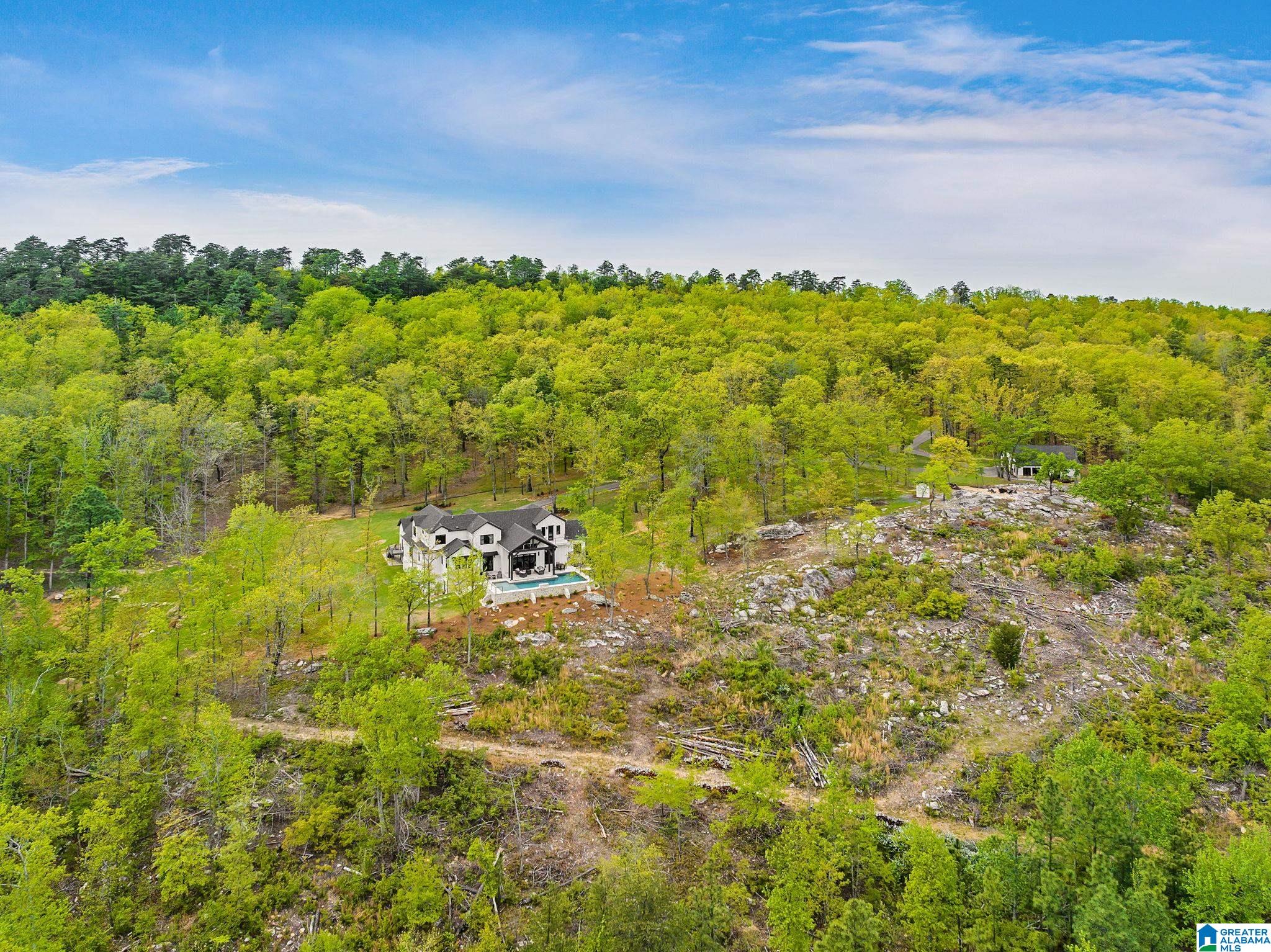 3153 Springstone Trail Leeds, AL 35094 - Photo 68 of 92