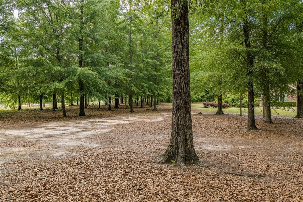 2185 Broome Road Hephzibah, GA 30815 - Photo 4 of 35