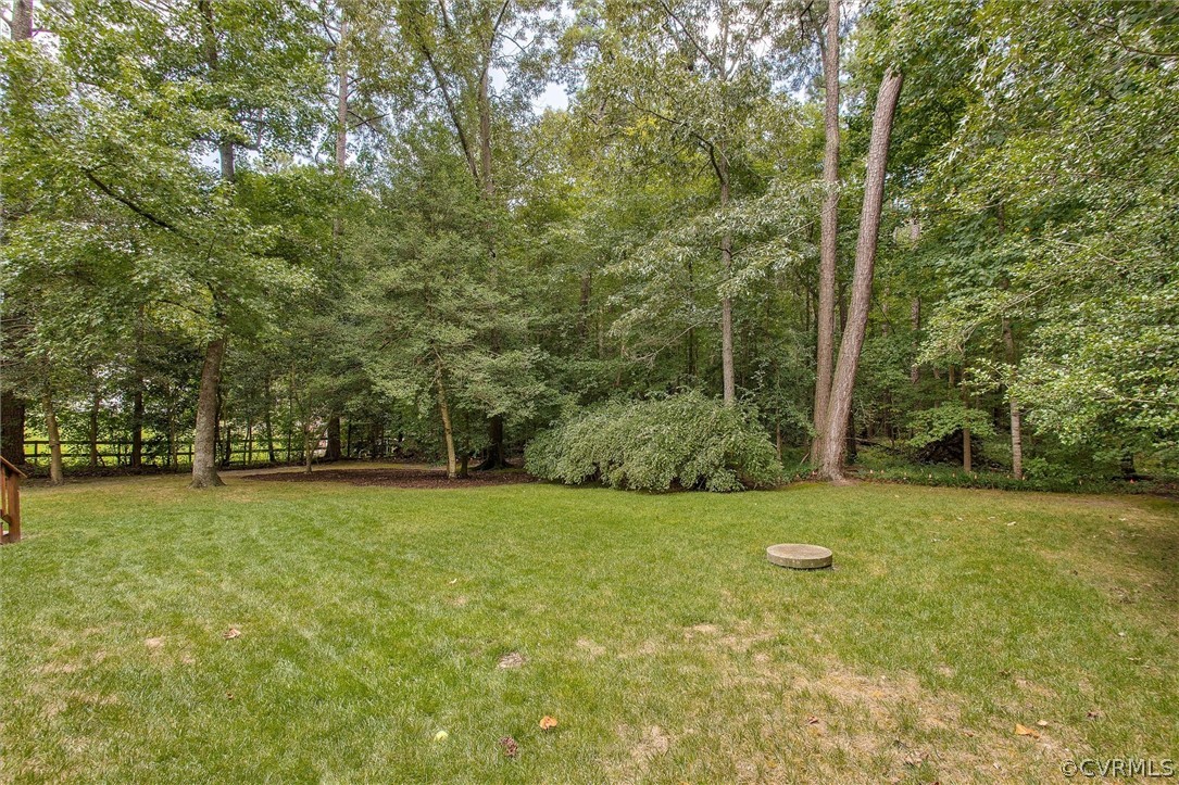 8831 Jacobs Road Chesterfield, VA 23236 - Photo 25 of 25 no neighbors in sight!