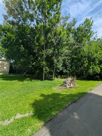 $24,700 | 0 Bay Court, Brazoria, TX 77422