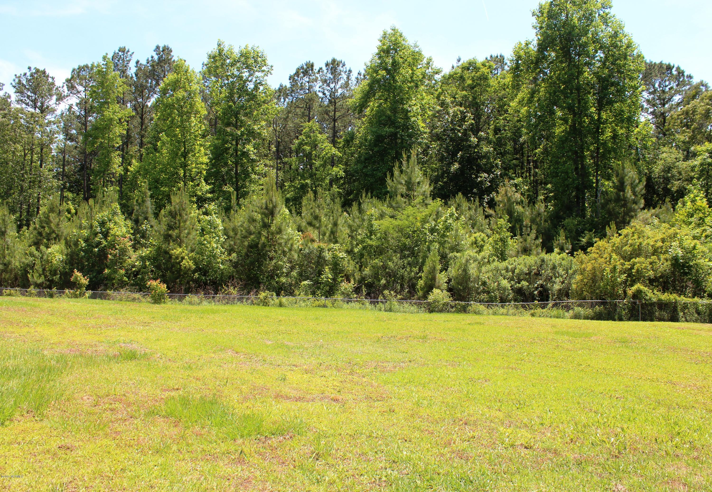 118 Poplar Ridge Road Jacksonville, NC 28546 - Photo 5 of 50 View From Patio