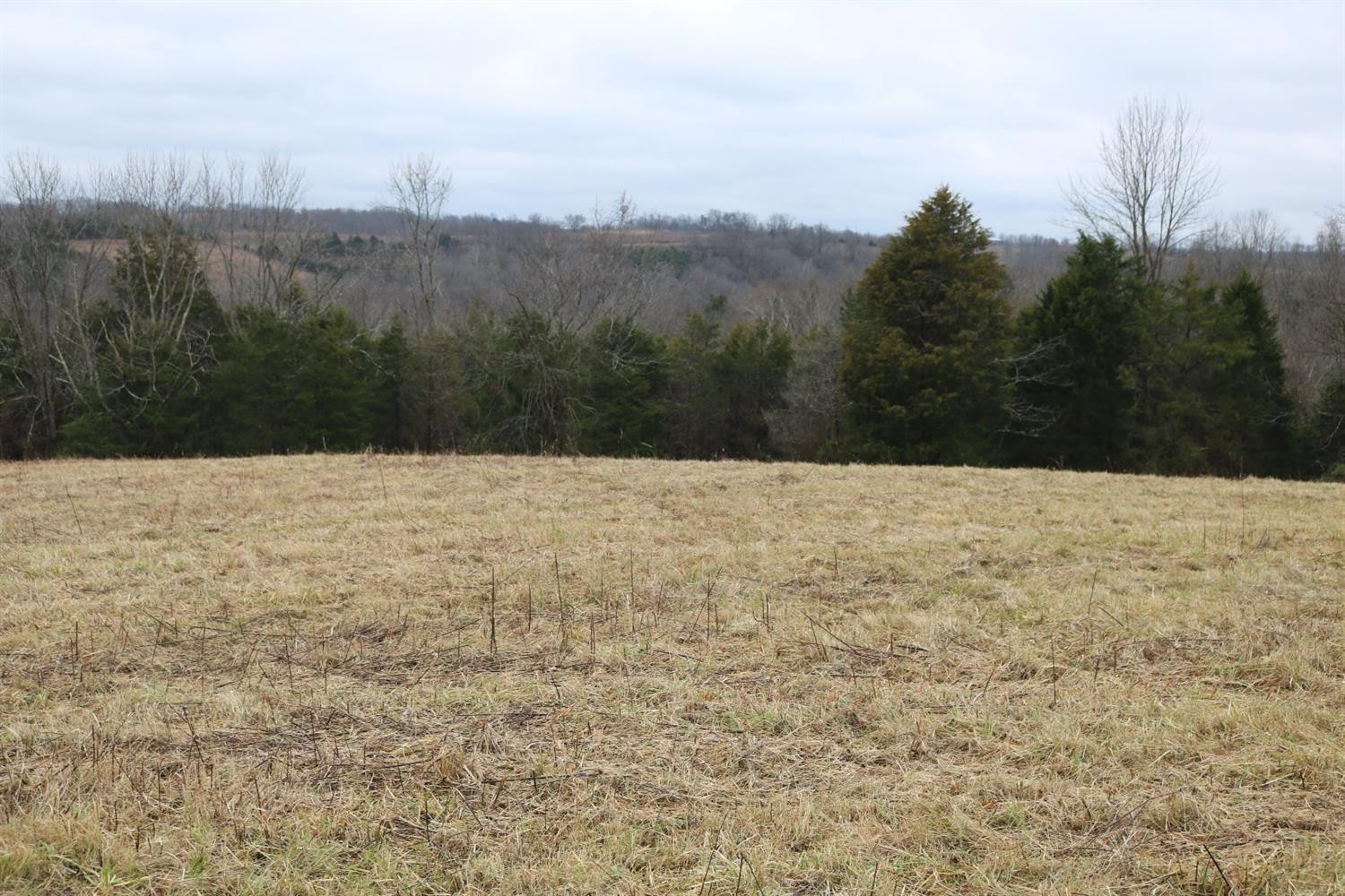 1 Bethel Road Carlisle, KY 40311 - Photo 18 of 40 Photo 18