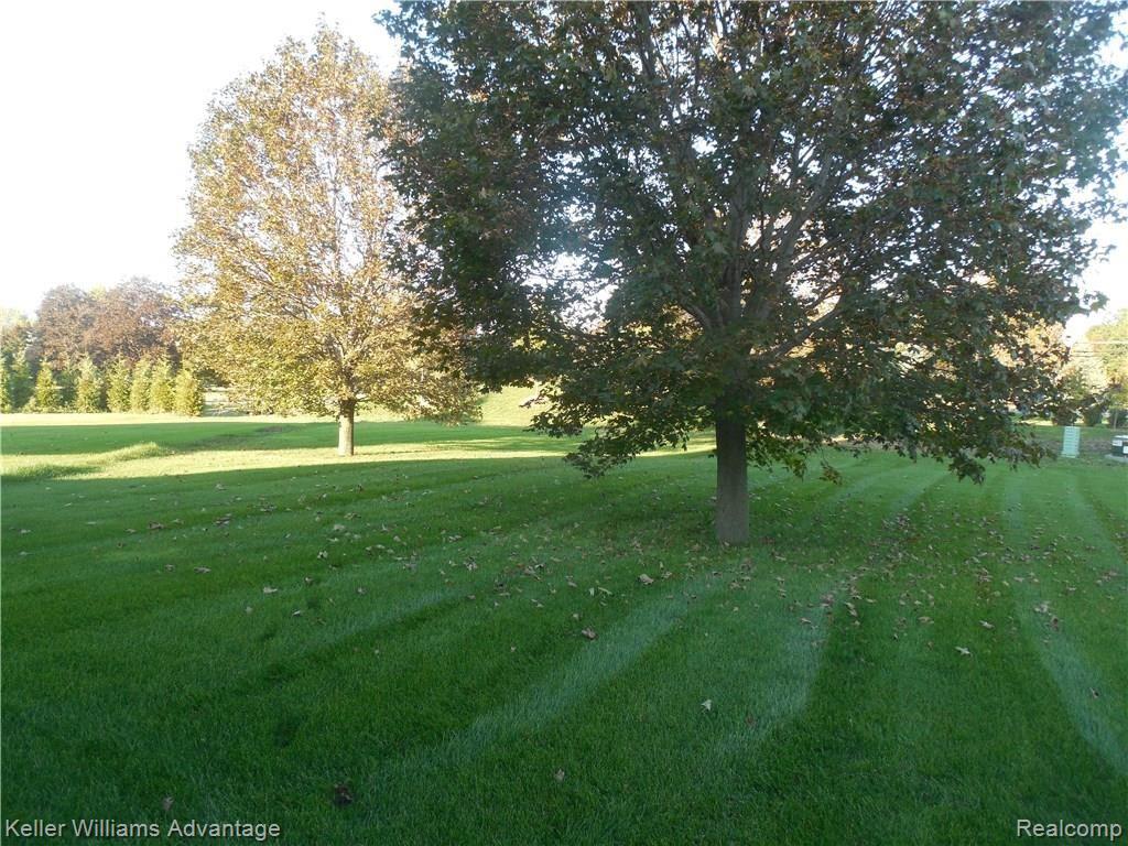 24798 Acorn Trail Novi, MI 48374 - Photo 8 of 49