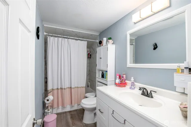 a bathroom with a sink vanity mirror and toilet