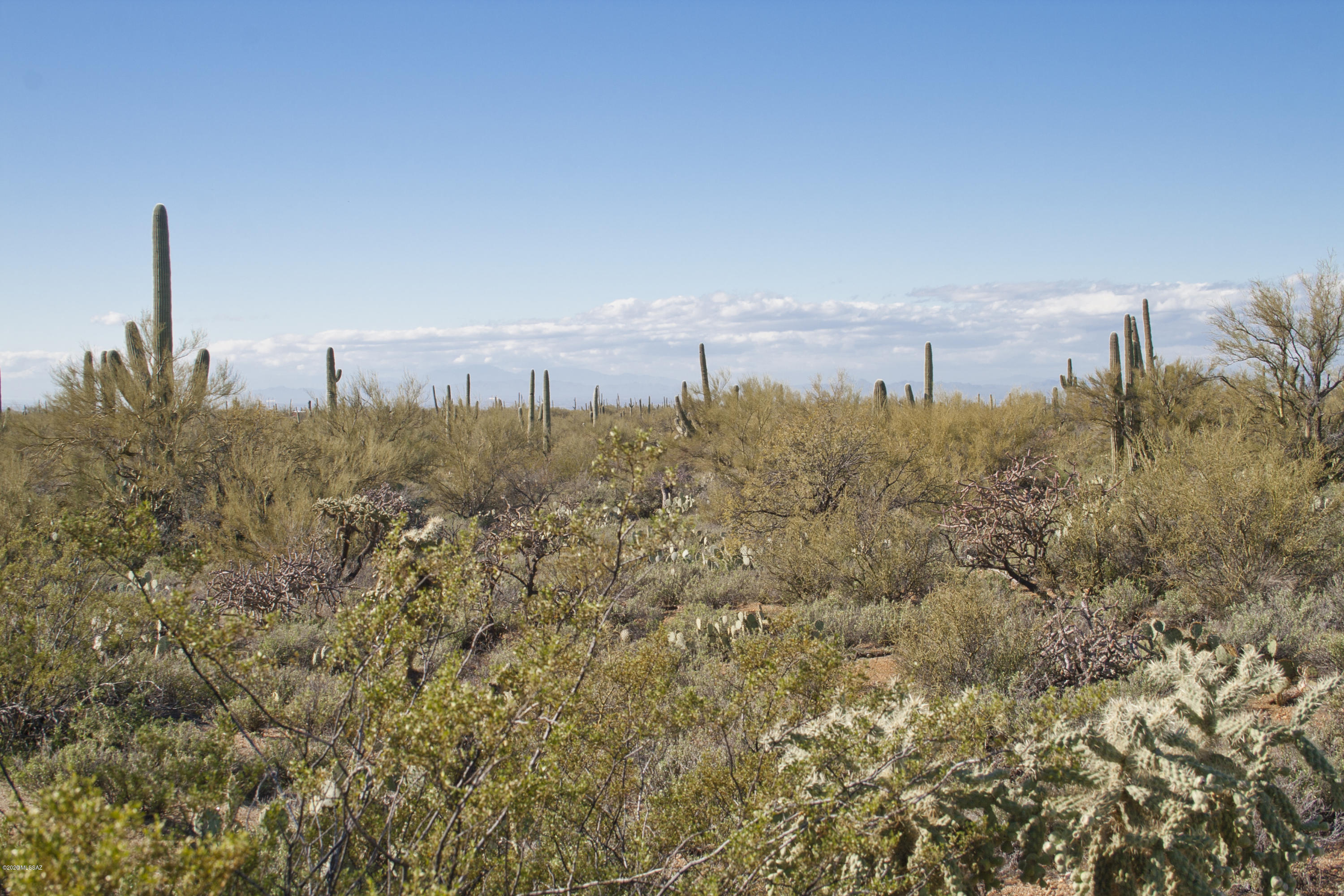 0 South Deerfield Road Marana, AZ 85658 - Photo 10 of 26