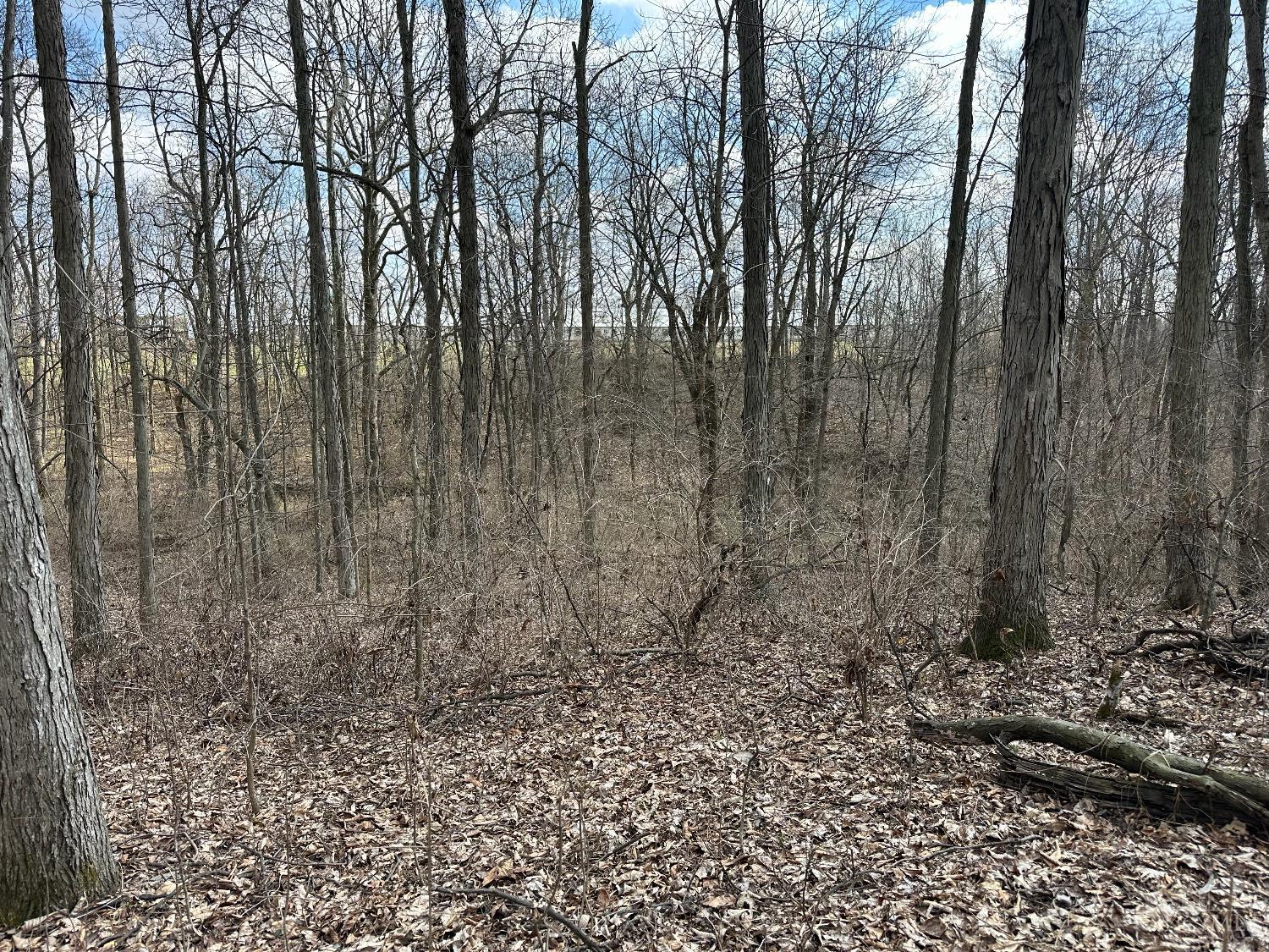 0 Wilson Road Winchester, OH 45697 - Photo 55 of 69