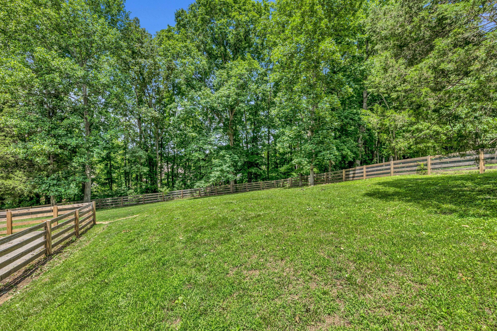 7707 Chester Road Fairview, TN 37062 - Photo 26 of 26 a view of a yard with grass and plants