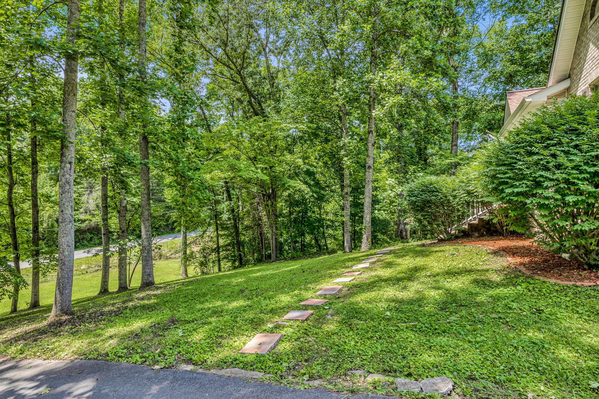 7707 Chester Road Fairview, TN 37062 - Photo 4 of 26 a big yard with lots of green space and trees