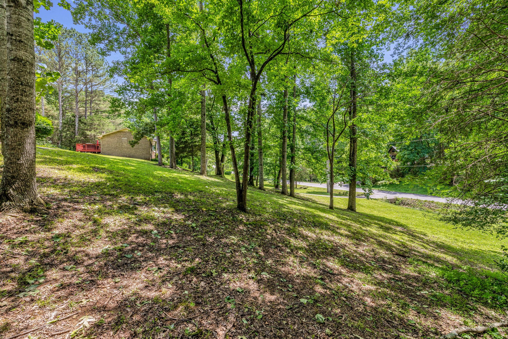 7707 Chester Road Fairview, TN 37062 - Photo 5 of 26 a view of a yard with a tree