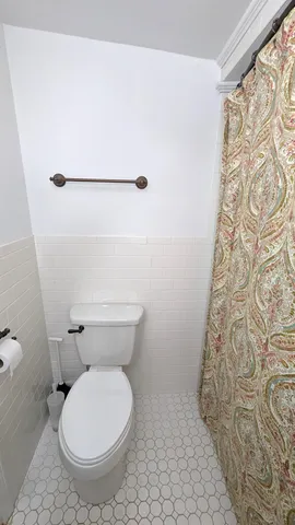 a white toilet sitting next to a shower curtain
