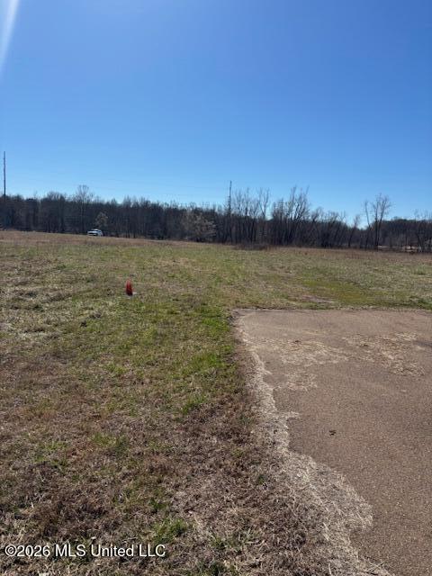 4587 Grazeland Road Olive Branch, MS 38654 - Photo 2 of 2 Drive to property