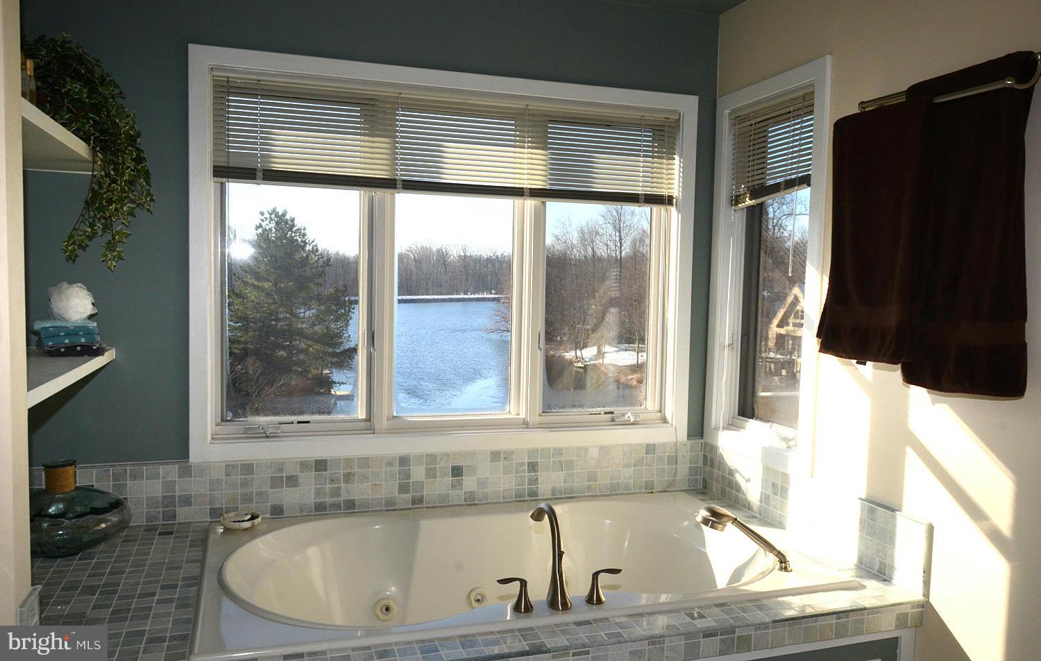 11510 Hemingway Drive Reston, VA 20194 - Photo 20 of 30 Custom tiled MBA with shelving and Lake Views