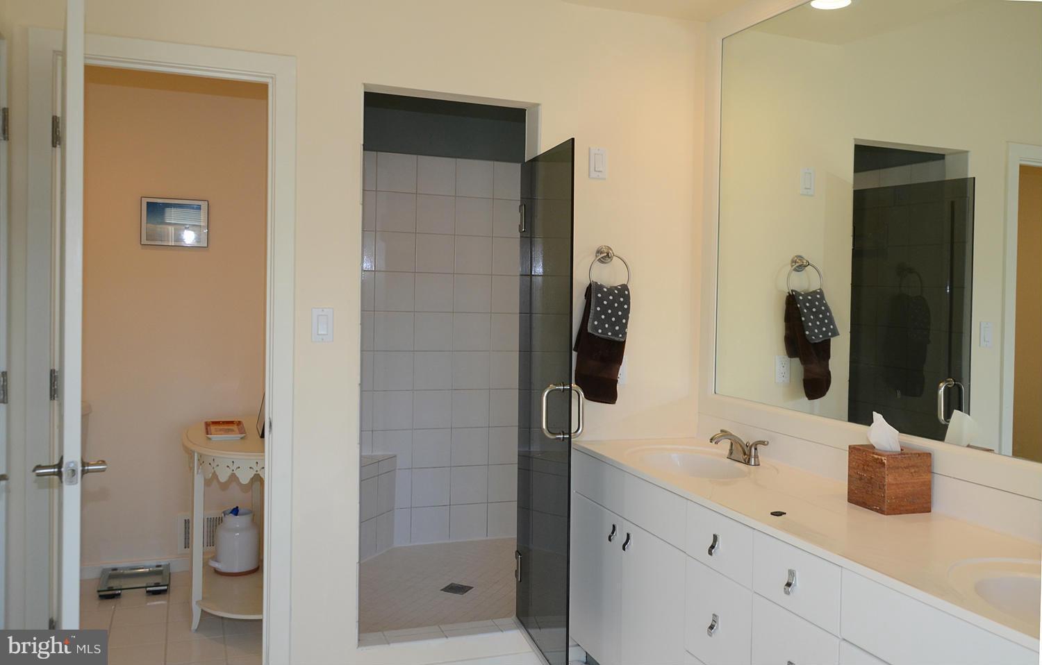 11510 Hemingway Drive Reston, VA 20194 - Photo 21 of 30 Separate Shower w/custom rimless glass shower door