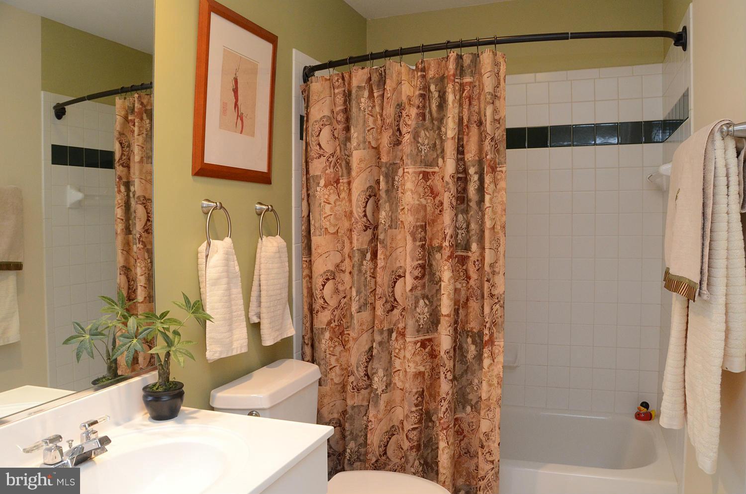 11510 Hemingway Drive Reston, VA 20194 - Photo 23 of 30 Upper Hall BA with new fixtures