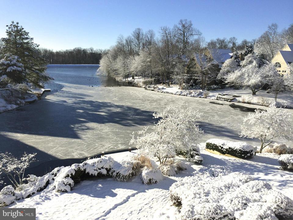 11510 Hemingway Drive Reston, VA 20194 - Photo 30 of 30 Snow-covered wonderland view of Lake