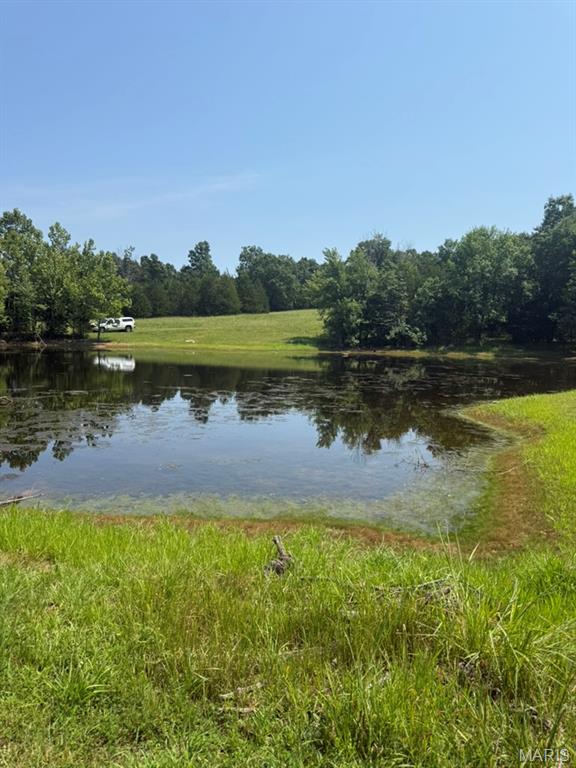9007 Crossman Road Bonne Terre, MO 63628 - Photo 40 of 55 Gallery Image 40