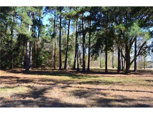 999 Green Valley Road Folsom, LA 70437 - Photo 5 of 12