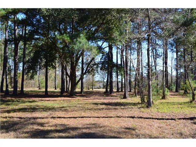 999 Green Valley Road Folsom, LA 70437 - Photo 6 of 12
