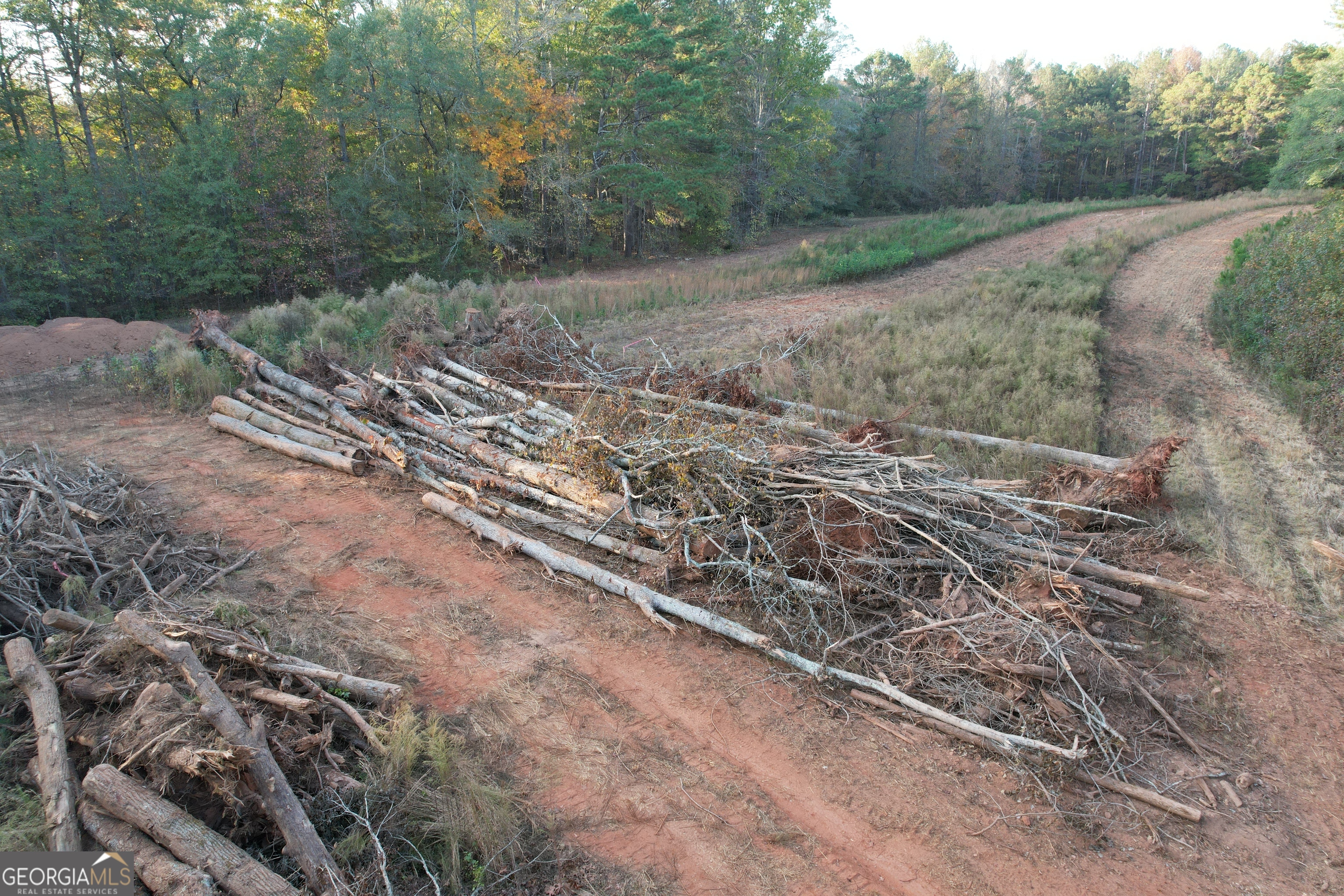 4009 Jersey Covington Road Covington, GA 30014 - Photo 11 of 17