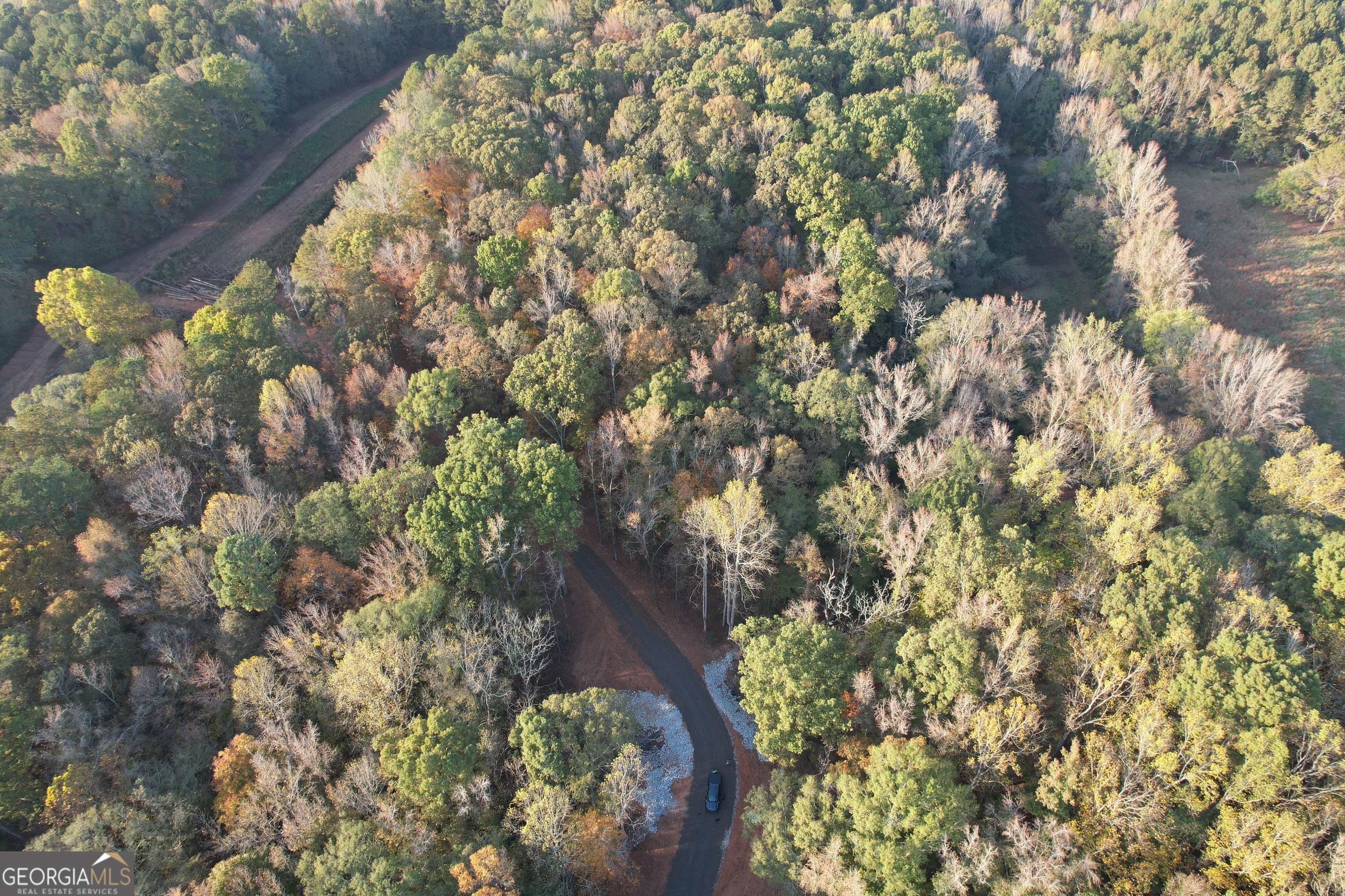 4009 Jersey Covington Road Covington, GA 30014 - Photo 7 of 17