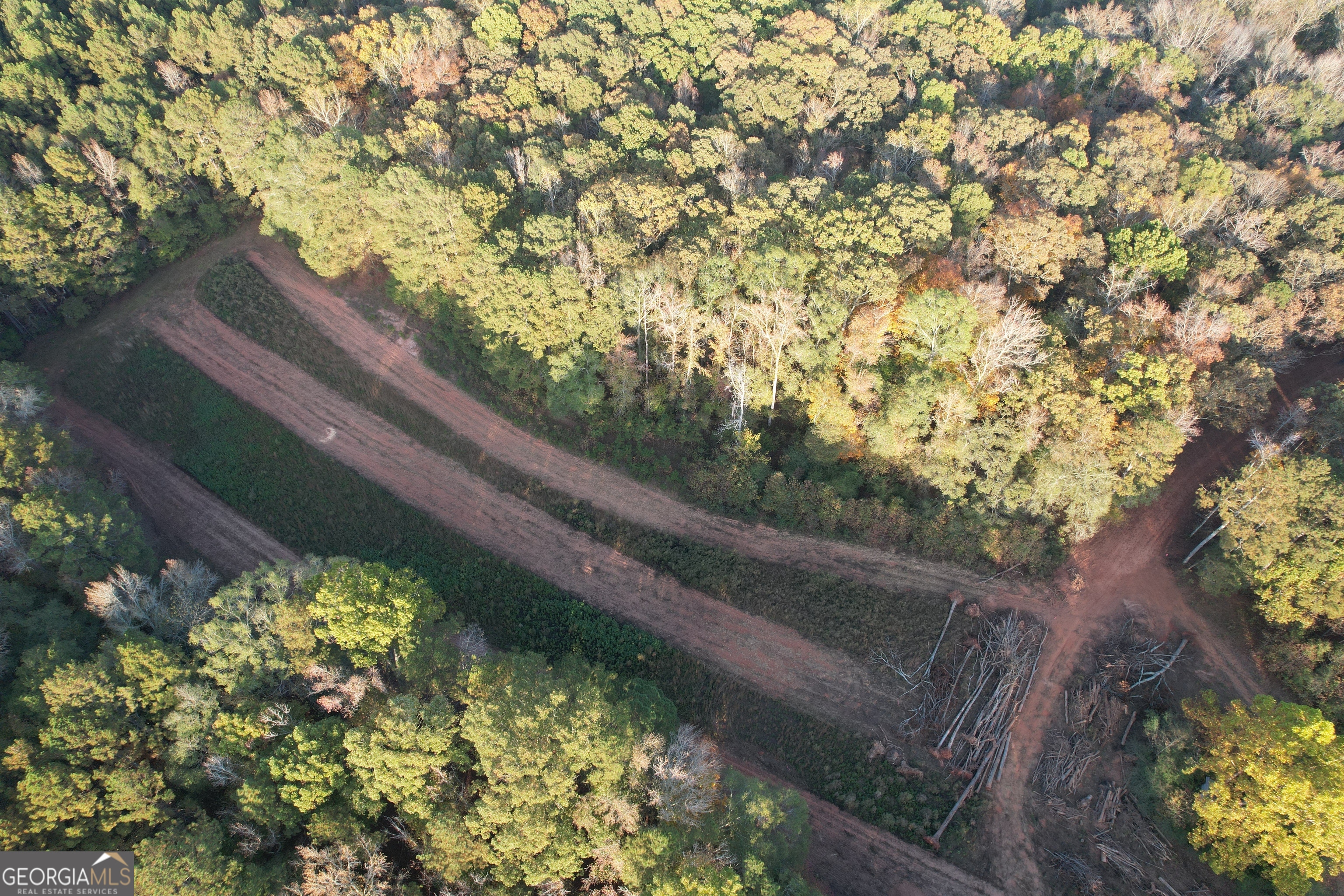 4009 Jersey Covington Road Covington, GA 30014 - Photo 9 of 17