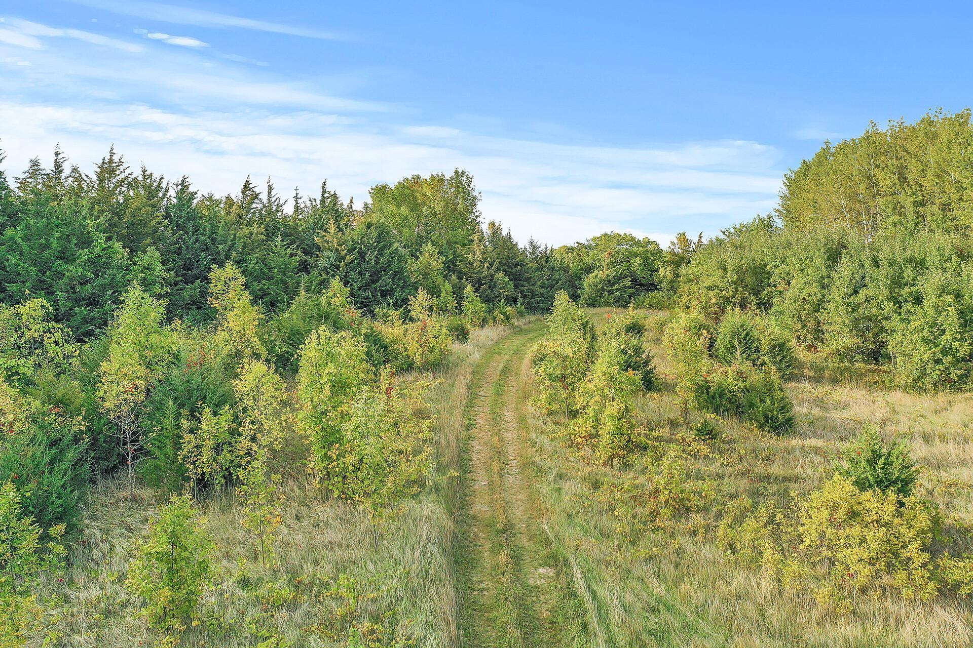 5000 10th Street Northeast Buffalo, MN 55313 - Photo 21 of 34