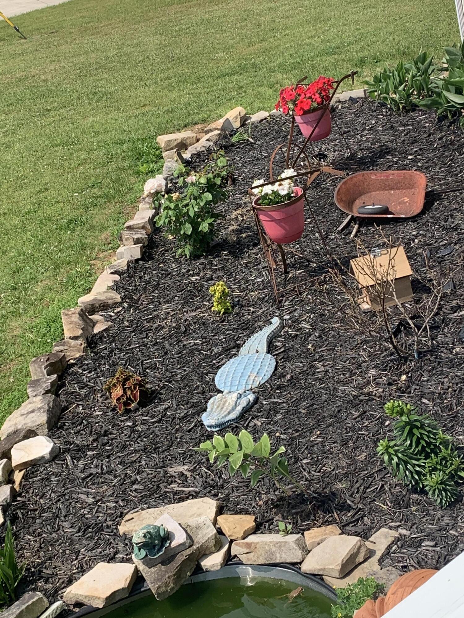 389 Neal Road Dunlap, TN 37327 - Photo 11 of 15 661D31C9-2A0B-44E4-8EA9-D6A47641C41F