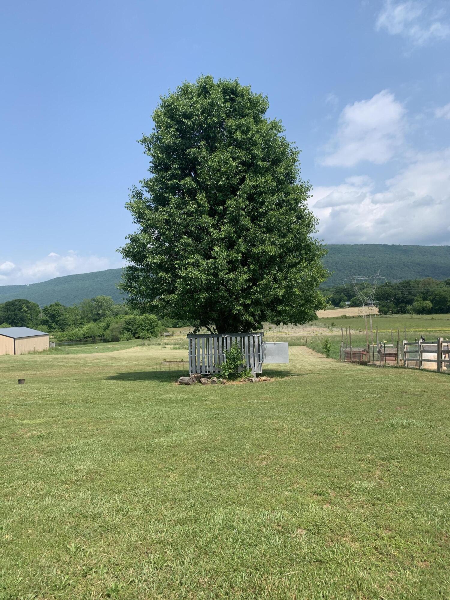 389 Neal Road Dunlap, TN 37327 - Photo 13 of 15 BA189E64-AB79-4421-BE72-3AD1CEB00AB6