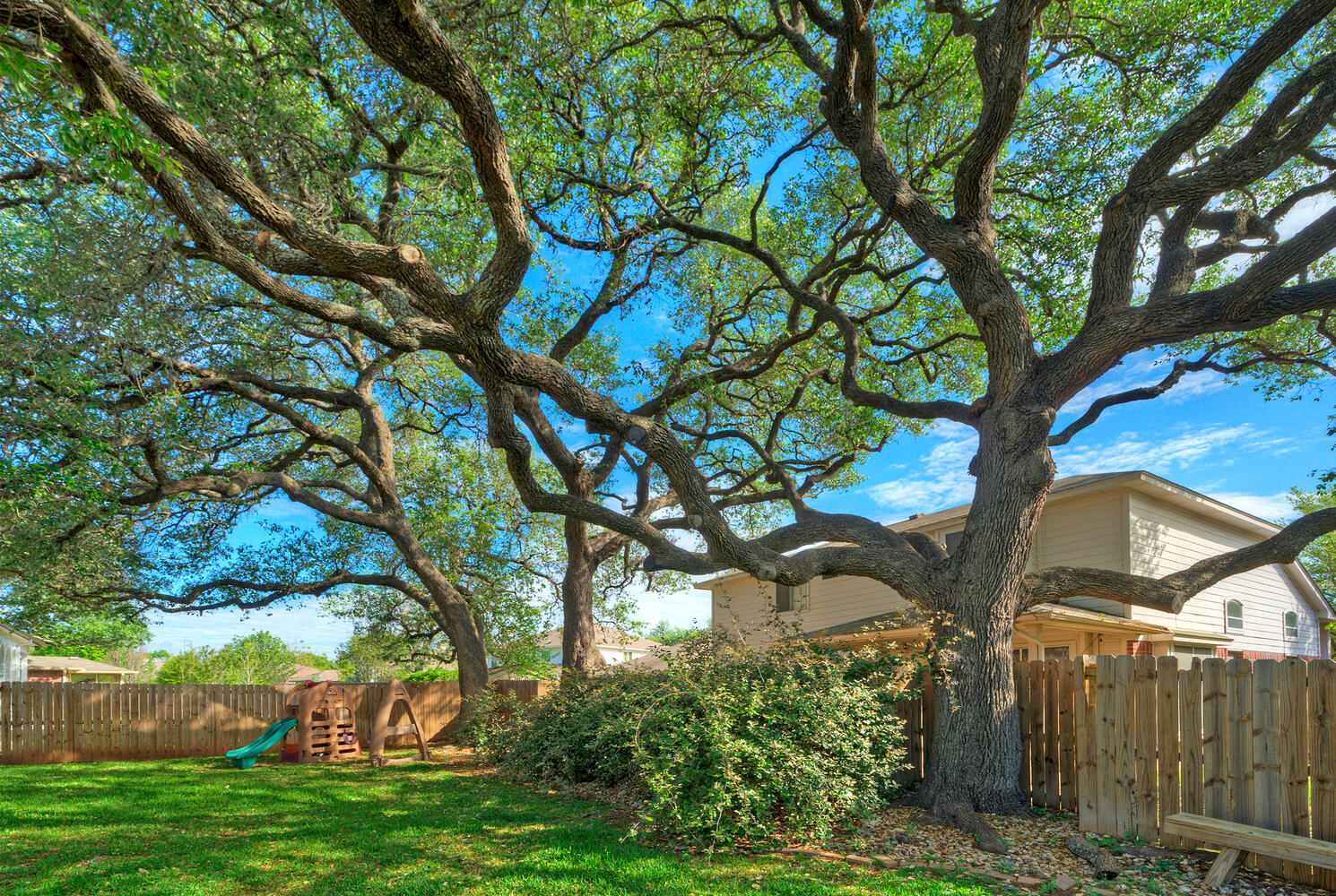 4518 Tello Path Austin, TX 78749 - Photo 26 of 26 BEAUTIFUL OAKS and view of fenced backyard