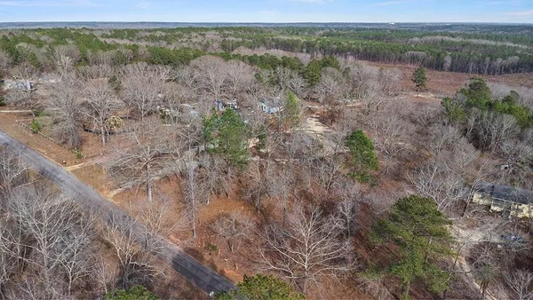 a view of a dry yard with trees and houses